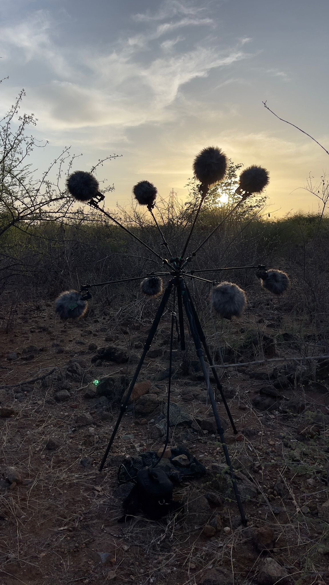 The Reynolds Sunflower spaced array silhouetted at sunset in African scrubland