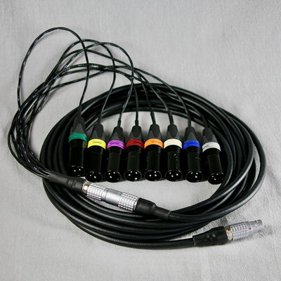 A-Type 8 with 5 m LEMO 2B cable and XLR tails