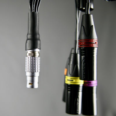 LEMO breakout to colour-coded XLR tails, close-up