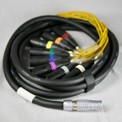 A-Type 8 LEMO-terminated multipair cable
