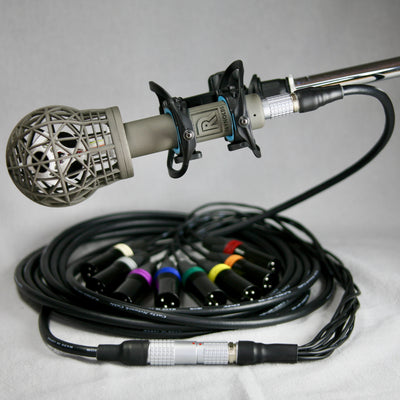 A-Type 8 with shockmount, LEMO 2B cable and XLR tails