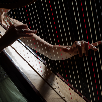 Harp