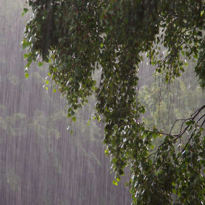 Heavy Rain and Thunder