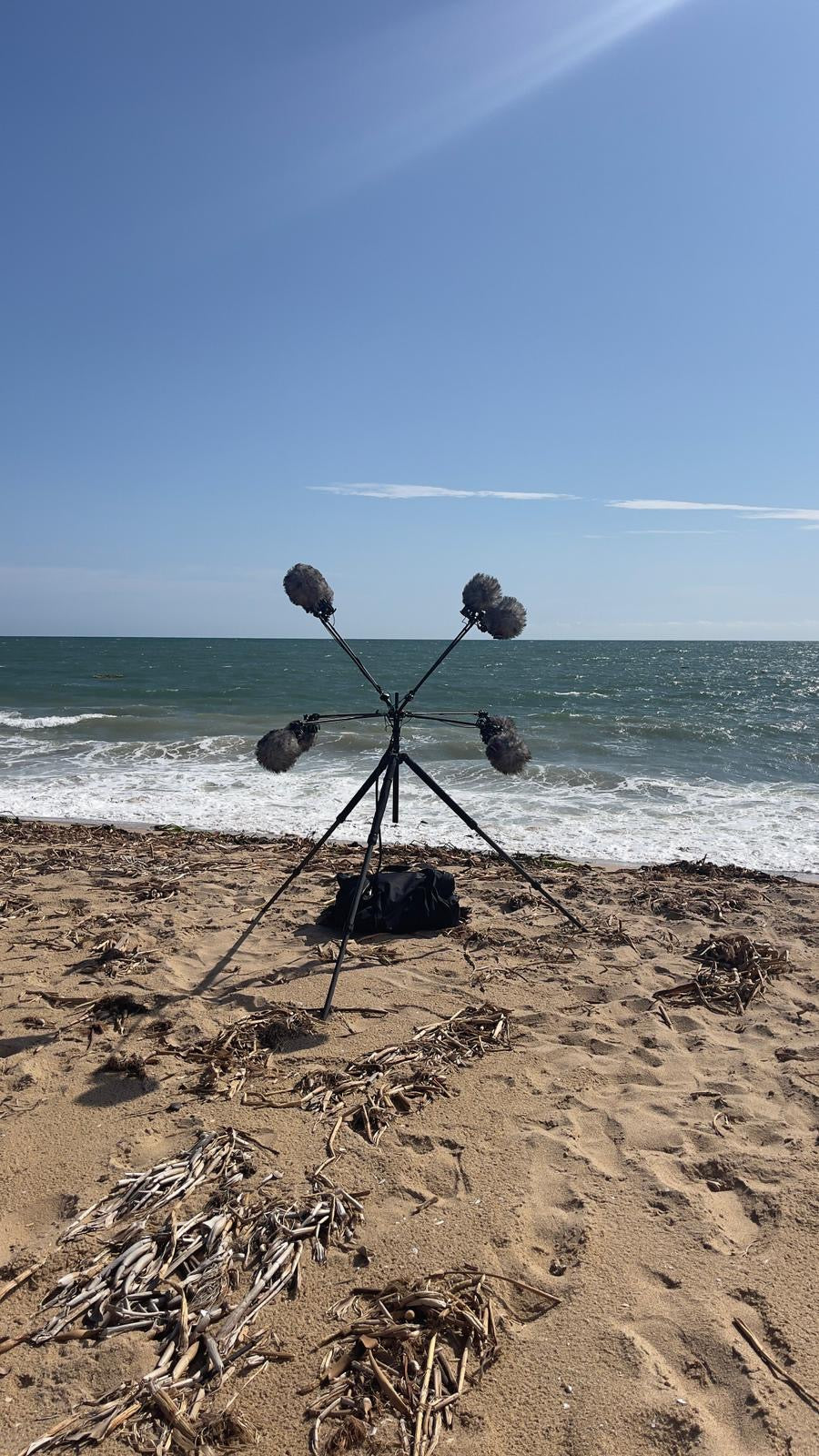 The Reynolds Sunflower spaced array with fur windshields on a beach by the sea